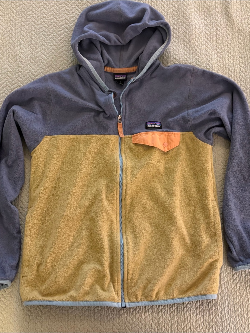 Patagonia Micro D Snap T Jacket